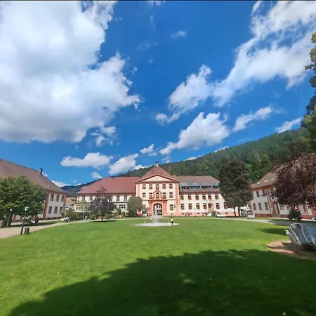 Schwarzwaldtraum Apartamento St. Blasien